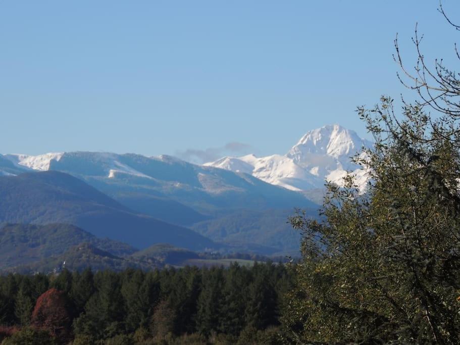 Cabane Dans Les Bois Avec Vue Sur Les Pyrenees Saint-Laurent-de-Neste Exterior foto